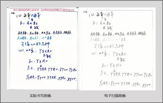 中高考電腦閱卷流程這樣的！讀完可多拿20分（轉(zhuǎn)給考生，這對他們有用）