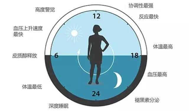 請轉(zhuǎn)給晚睡的學(xué)生：熬夜學(xué)習(xí)精神可嘉，但方法不可??！